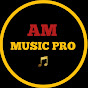 AM MUSIC PRO