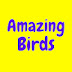 Amazing Birds