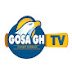 GOSA GH TV