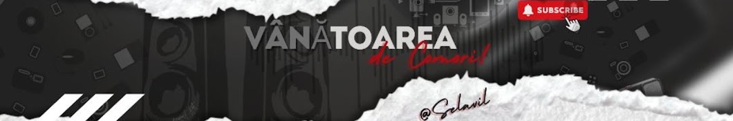 Vânătoarea de comori! Banner