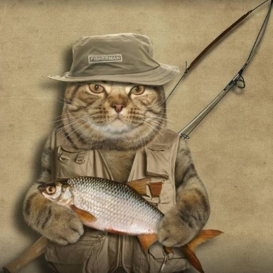 Catfishing