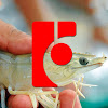 Farmx shrimp technology