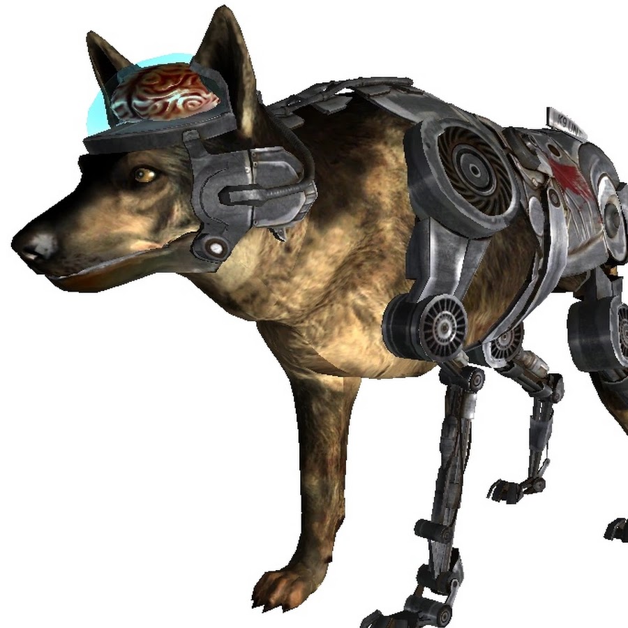 Fallout 4 спарки собака фото 38