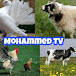 محمد تي في _ Mohammed TV