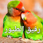 رفيق الطيور Bird Companion