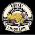 GSD321