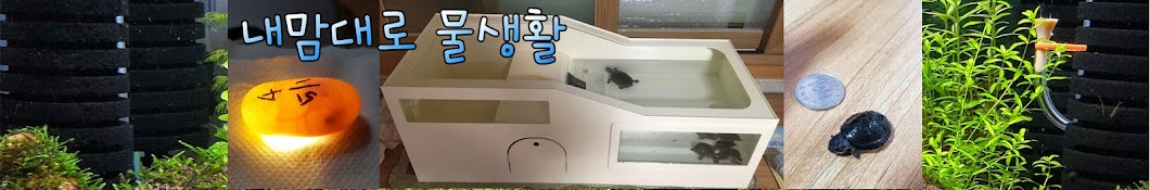 내맘대로 물생활