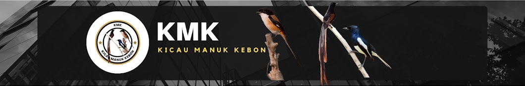 KMK kicau manuk kebon