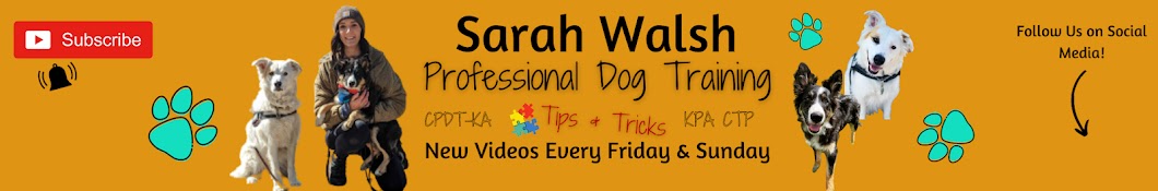 Sarah Walsh - Dog Trainer Banner
