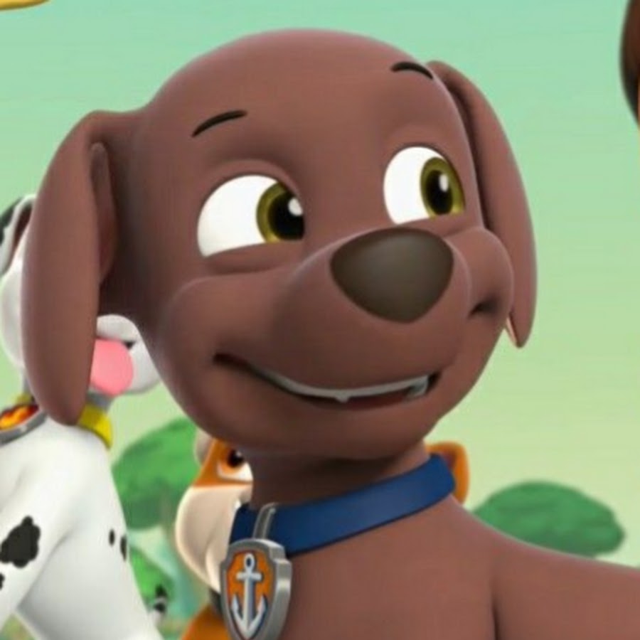 Zuma Gallery Pups Save The Treats. PAW Patrol Wiki. Paw Patrol Pups, Zuma  Paw Patrol, HD wallpaper