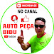  AUTO PEÇA BIDU