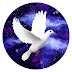 logo Peaceful Night Music