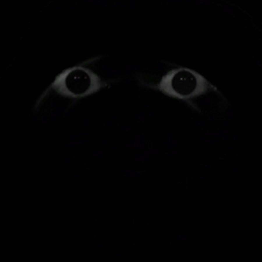 Purplevoid youtube