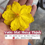 Vườn Mai Hưng Thịnh