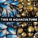 This Is Aquaculture