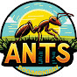 Ants Documentary