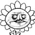 logo The Cursed Sunflower