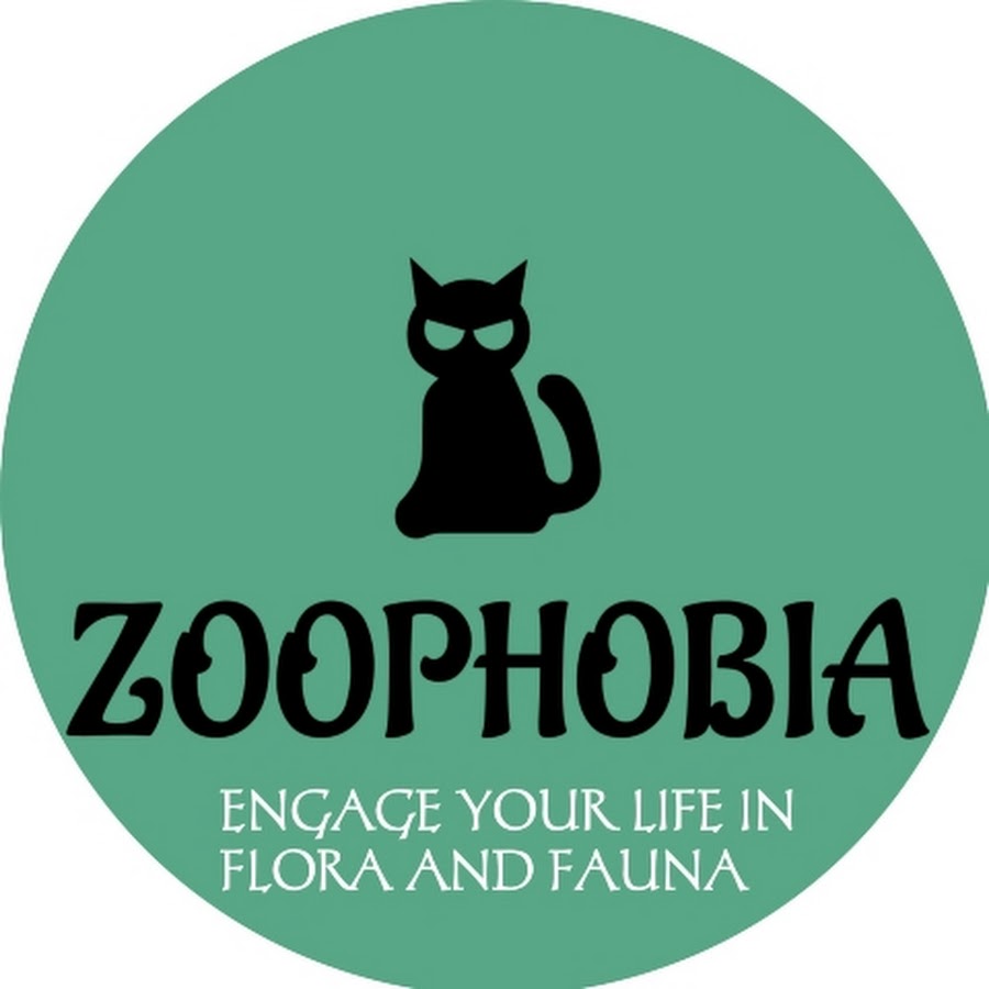 Fun Fact About Zoophobia