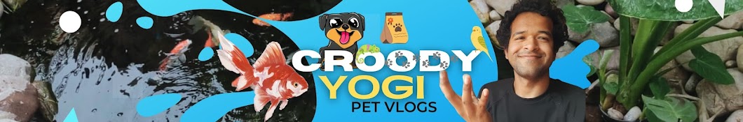 croody yogi pet keeper