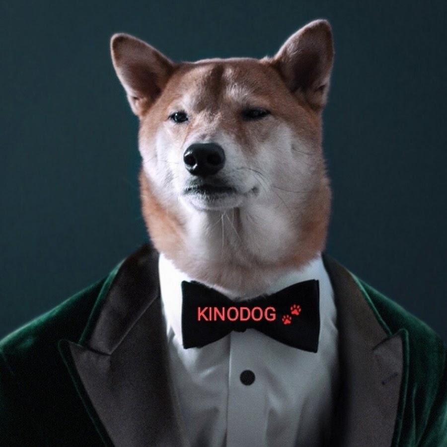 KinoDog - YouTube