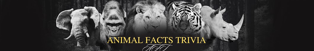 Animals Facts Trivia 