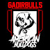 logo GADIRBULLS AMERICAN BULLDOG