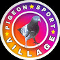 Village pigeon sport