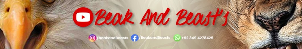 Beak And Beast's