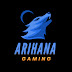 AriHana Gaming 