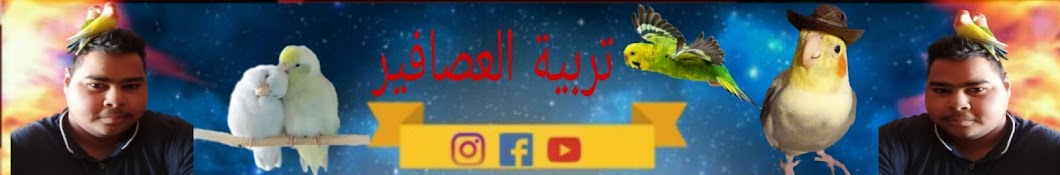 تربية العصافير 