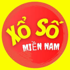 Soi Cầu Miền Nam 379
