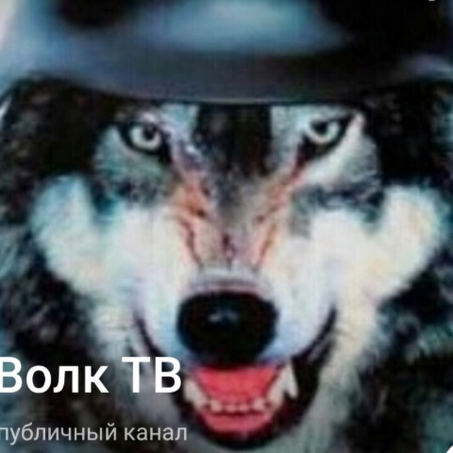 Волк ТВ - YouTube