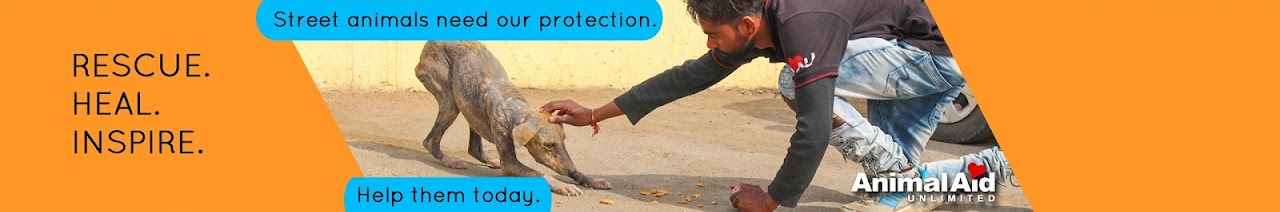 Animal Aid Unlimited, India YouTube Channel Analytics and Report - Powered  by NoxInfluencer Mobile