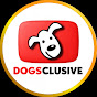 DOGSCLUSIVE