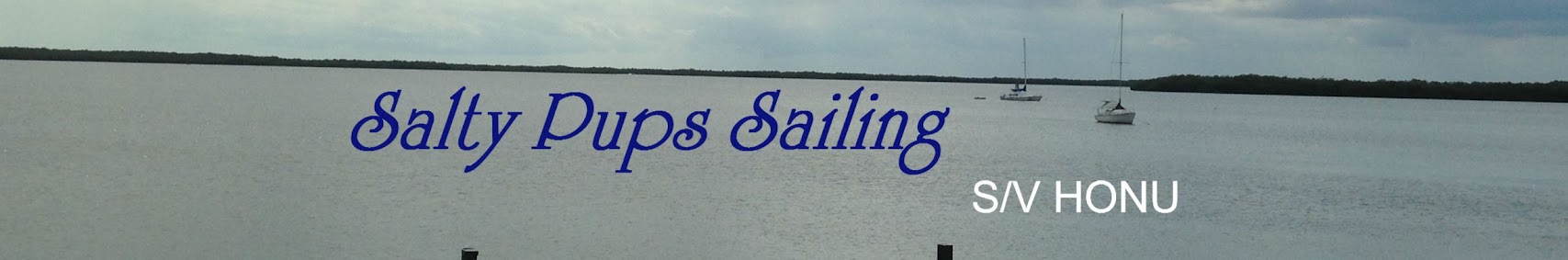 saltypupssailing8724