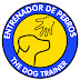 Junto escuela canina