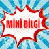 Mini Bilgi