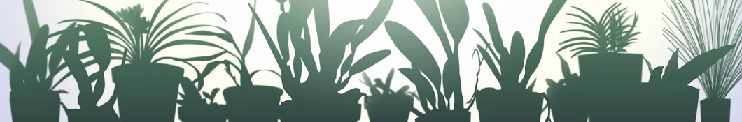 My Green Pets Banner
