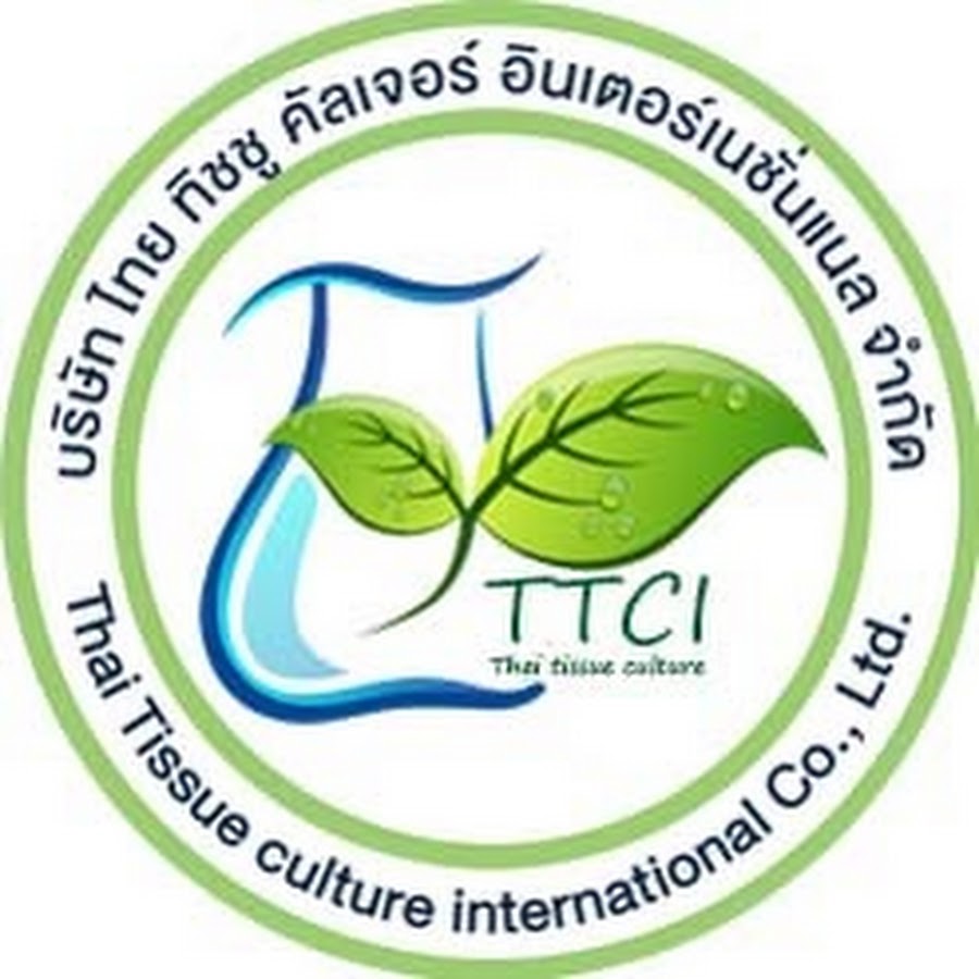 Thai Tissue Culture - YouTube