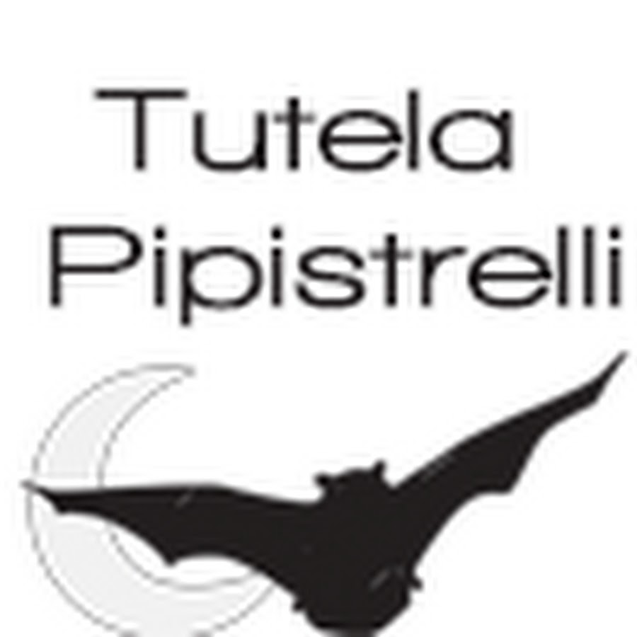 Tutela Pipistrelli Youtube