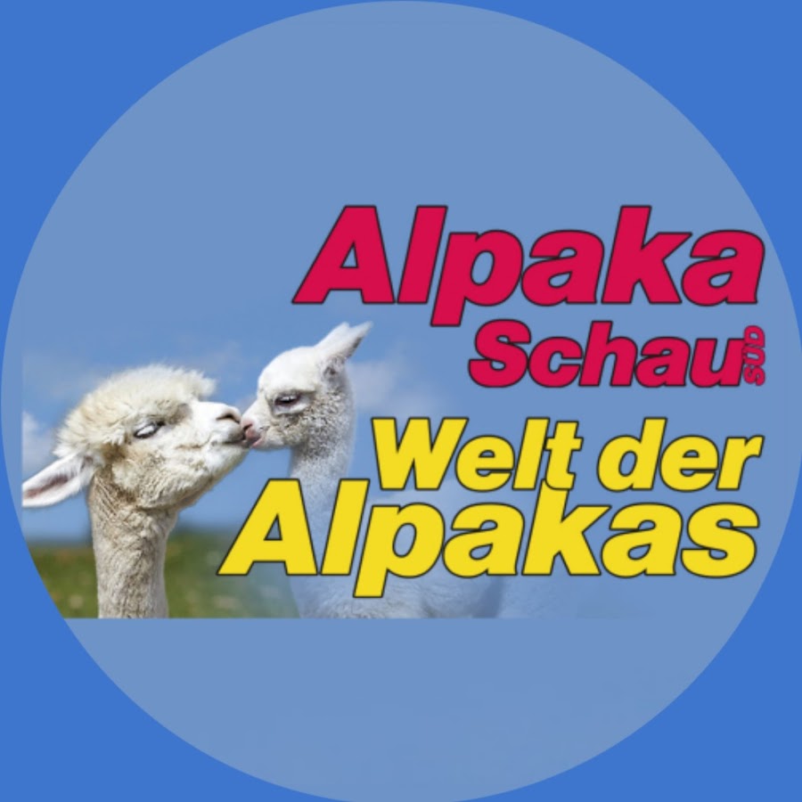 Alpakaschau S d Welt der Alpakas YouTube