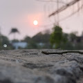 Artist Thumbnail