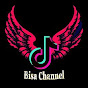 Bisa Channel