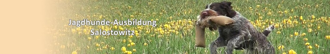 Jagdhundeausbildung