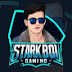 Starkboi Gaming