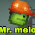 Mr. melon