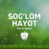 Sog'lom hayot