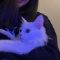 avey