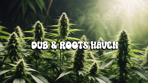 Dub & Roots Haven