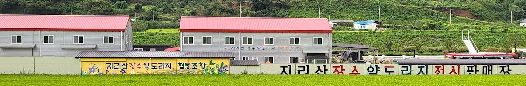 지리산 장수 약도라지